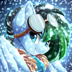 Size: 3555x3555 | Tagged: safe, artist:airiniblock, rcf community, oc, oc only, oc:gryph xander, species:pegasus, species:pony, bust, clothing, commission, goggles, high res, male, snow, snowfall, solo, stallion