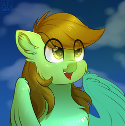 Size: 2885x2901 | Tagged: safe, artist:airfly-pony, derpibooru original, rcf community, oc, oc only, oc:lizzing, species:pegasus, species:pony, cheek fluff, chest fluff, cloud, cute, ear fluff, eye clipping through hair, female, looking up, sky, smiling, solo, teeth, tongue out