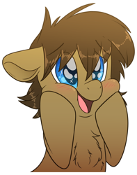 Size: 1500x1900 | Tagged: safe, artist:fluffyxai, oc, oc only, oc:spirit wind, species:earth pony, species:pony, awww, blushing, chest fluff, cute, fluffy, hooves on cheeks, male, ocbetes, simple background, smiling, solo, sparkly eyes, squee, squishy cheeks, stallion, sticker, transparent background