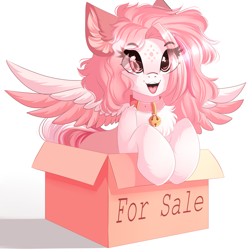 Size: 3840x3885 | Tagged: safe, artist:airiniblock, rcf community, oc, oc:morning radiance, species:pegasus, species:pony, behaving like a cat, bell, bell collar, box, collar, colored wings, colored wingtips, cute, ocbetes, pony in a box, smiling, solo, spread wings, wings