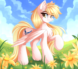 Size: 5000x4444 | Tagged: safe, artist:airiniblock, rcf community, oc, oc only, oc:noeleft, oc:star nai, species:pegasus, species:pony, air force, cheek fluff, chest fluff, cloud, ear fluff, female, flower, grass, looking at you, mare, raised hoof, sky, smiling, solo, spread wings, standing, wings