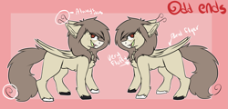 Size: 4721x2257 | Tagged: safe, artist:oddends, oc, oc only, oc:oddends, species:pegasus, species:pony, chest fluff, female, floppy ears, mare, reference sheet, solo, unshorn fetlocks