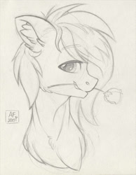 Size: 2014x2600 | Tagged: safe, artist:airfly-pony, rcf community, oc, oc only, species:pony, bust, flower, flower in mouth, lineart, looking at you, male, rose, rose in mouth, rule 63, solo