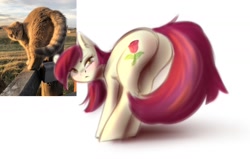 Size: 1280x814 | Tagged: safe, artist:vincher, character:roseluck, species:earth pony, species:pony, behaving like a cat, blushing, butt, cat, female, looking at you, looking back, looking back at you, mare, plot, ponified, ponified animal photo