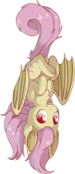 Size: 4886x11309 | Tagged: safe, artist:cutepencilcase, character:flutterbat, character:fluttershy, species:bat pony, species:pony, bat ponified, bat wings, chest fluff, cute, ear fluff, fangs, female, hooves to the chest, looking at you, mare, race swap, shyabates, shyabetes, simple background, smiling, solo, three quarter view, transparent background, upside down, vampony, wings
