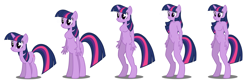 Size: 2346x774 | Tagged: safe, artist:flash equestria photography, character:twilight sparkle, character:twilight sparkle (unicorn), species:anthro, species:centaur, species:pony, species:unguligrade anthro, species:unicorn, anthro with ponies, barbie doll anatomy, breasts, featureless breasts, featureless crotch, progression, show accurate anthro, simple background, taur, white background