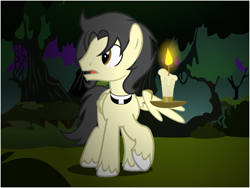 Size: 800x600 | Tagged: safe, artist:flash equestria photography, oc, oc only, oc:sable quill, species:pegasus, species:pony, black mane, brown eyes, candle, clerical collar, everfree forest, fanfic in the description, forest, night, open mouth, outdoors, priest, show accurate, solo, wing hold