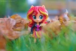 Size: 5379x3587 | Tagged: safe, artist:artofmagicpoland, character:sunset shimmer, my little pony:equestria girls, doll, equestria girls minis, eqventures of the minis, female, leaves, looking at you, solo, sunset shimmer day, toy