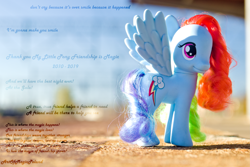 Size: 4801x3202 | Tagged: safe, artist:alienpauline483, artist:artofmagicpoland, character:rainbow dash, species:pegasus, species:pony, episode:the ending of the end, episode:the last problem, g4, my little pony: friendship is magic, a true true friend, at the gala, doll, dr. seuss, end of g4, end of ponies, female, figurine, happy birthday mlp:fim, irl, mare, mlp fim's ninth anniversary, photo, solo, spread wings, starry eyes, text, the magic of friendship grows, toy, wingding eyes, wings