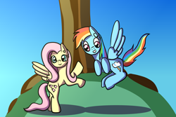Size: 2048x1365 | Tagged: safe, artist:platinumdrop, character:fluttershy, character:rainbow dash, species:pegasus, species:pony, female, hill, mare, tree