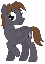 Size: 1406x1969 | Tagged: safe, artist:the smiling pony, oc, oc only, oc:wingbeat, species:pegasus, species:pony, 2020 community collab, derpibooru community collaboration, .svg available, bags under eyes, folded wings, looking at you, male, raised leg, simple background, smiling, solo, stallion, svg, transparent background, vector, wings