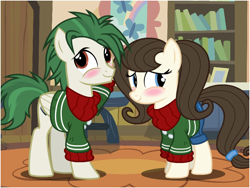 Size: 800x600 | Tagged: safe, artist:flash equestria photography, oc, oc only, oc:dizzy strings, oc:radiant nimbus, species:earth pony, species:pegasus, species:pony, blue eyes, blushing, bookshelf, brown mane, clothing, cutie mark, cutie mark on clothes, green mane, indoors, looking away, matching outfits, photo, show accurate, sweater
