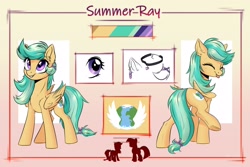 Size: 2894x1932 | Tagged: safe, artist:vincher, oc, oc only, oc:summer ray, species:pegasus, species:pony, reference sheet, solo