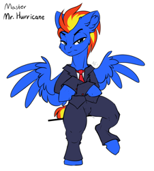 Size: 3500x3873 | Tagged: safe, artist:airfly-pony, oc, oc:wing hurricane