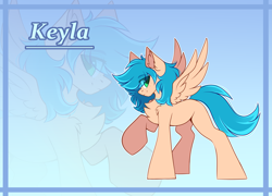 Size: 5555x4000 | Tagged: safe, artist:airiniblock, rcf community, oc, oc only, oc:keyla, species:pegasus, species:pony, commission, pegasus oc, reference sheet, solo, wings, zoom layer