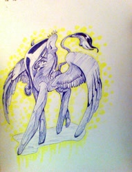 Size: 783x1024 | Tagged: safe, artist:kiwwsplash, oc, oc only, species:pegasus, species:pony, hair over one eye, leonine tail, pegasus oc, solo, traditional art, wings