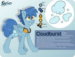 Size: 2100x1600 | Tagged: safe, artist:fluffyxai, oc, oc only, oc:cloudburst, species:pegasus, species:pony, accessories, goggles, male, reference sheet, smiling, stallion, standing