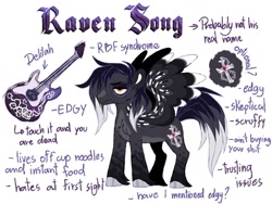 Size: 1024x768 | Tagged: safe, artist:azure-art-wave, oc, oc:raven song, species:pegasus, species:pony, g4, guitar, male, musical instrument, reference sheet, solo, stallion