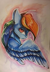 Size: 521x745 | Tagged: safe, artist:kiwwsplash, character:rainbow dash, species:pegasus, species:pony, g4, bust, female, mare, solo, traditional art