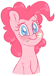Size: 2087x2854 | Tagged: safe, artist:fluffyxai, character:pinkie pie, species:earth pony, species:pony, g4, blushing, bust, cute, diapinkes, female, flower, flower in mouth, high res, looking at you, mare, mouth hold, simple background, smiling, solo, white background