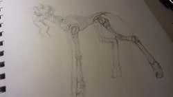 Size: 2560x1440 | Tagged: safe, artist:kiwwsplash, oc, oc only, species:earth pony, species:pony, g4, amputee, armor, bone, earth pony oc, lineart, prosthetic limb, prosthetics, skeleton, sketch, solo, traditional art