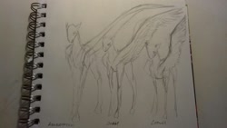 Size: 1632x918 | Tagged: safe, artist:kiwwsplash, oc, oc only, species:pegasus, species:pony, g4, cyrillic, lineart, notepad, one wing out, pegasus oc, russian, text, traditional art, wings