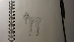 Size: 1632x918 | Tagged: safe, artist:kiwwsplash, oc, oc only, species:earth pony, species:pony, g4, earth pony oc, lineart, notebook, pencil, sketch, solo, traditional art