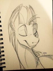 Size: 960x1280 | Tagged: safe, artist:probablyfakeblonde, oc, oc only, oc:andrew swiftwing, species:pegasus, species:pony, eyes closed, handsome, male, sketch, smiling, solo, stallion
