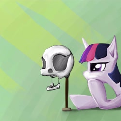 Size: 5000x5000 | Tagged: safe, artist:sharpieboss, character:twilight sparkle, g4, absurd resolution, female, skull, solo