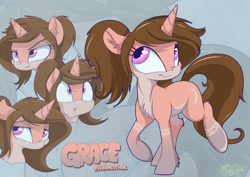 Size: 900x636 | Tagged: dead source, safe, artist:mistydash, oc, oc only, oc:grace fairweather, species:pony, species:unicorn, expressions, female, mare, reference sheet, solo, zoom layer