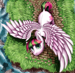 Size: 1024x989 | Tagged: safe, artist:alphadesu, character:blossomforth, female, overhead view, solo, spread wings, wings