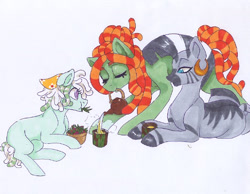 Size: 529x410 | Tagged: safe, artist:frozensoulpony, character:tree hugger, character:zecora, oc, oc:sabali, parent:tree hugger, parent:zecora, parents:treecora, species:pony, species:zebra, female, lesbian, magical lesbian spawn, mare, offspring, shipping, simple background, treecora, white background