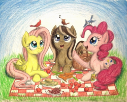 Size: 1332x1068 | Tagged: safe, artist:thefriendlyelephant, character:fluttershy, character:pinkie pie, oc, oc:caramel breeze, species:bird, species:pegasus, species:pony, apple, blue jay, cardinal, carrot, commission, cucumber, cucumber sandwiches, food, grapes, juice, juice box, music notes, picnic, picnic basket, picnic blanket, teacup, traditional art