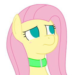 Size: 650x650 | Tagged: safe, artist:redintravenous, artist:scriptkitty, character:fluttershy, blushing, bust, collar, empty eyes, female, looking up, no catchlights, no pupils, simple background, solo, transparent background