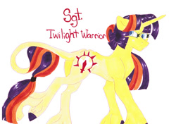 Size: 1112x784 | Tagged: safe, artist:frozensoulpony, oc, oc only, oc:twilight warrior, parent:comet tail, parent:twilight sparkle, parents:cometlight, species:classical unicorn, species:pony, species:unicorn, leonine tail, offspring, solo, traditional art, transgender, unshorn fetlocks