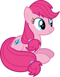 Size: 6980x8970 | Tagged: safe, artist:pink1ejack, oc, oc only, oc:pinkie jack, species:earth pony, species:pony, derpibooru community collaboration, 2017 community collab, absurd resolution, simple background, sitting, solo, transparent background, vector
