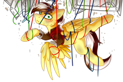 Size: 3016x2012 | Tagged: safe, artist:ruef, oc, oc only, oc:silver lining, species:pegasus, species:pony, ceiling, ceiling pony, clothing, dust, embarrassed, looking at you, male, not what it looks like, pipe (plumbing), simple background, solo, stallion, tangled up, transparent background, wires
