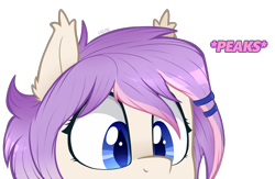 Size: 1000x650 | Tagged: safe, artist:higgly-chan, oc, oc only, oc:sweet tooth, species:bat pony, species:pony, colored pupils, cute, misspelling, peeking, simple background, solo, transparent background