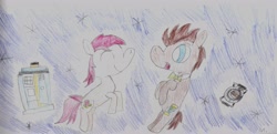 Size: 3509x1699 | Tagged: safe, artist:ptitemouette, character:doctor whooves, character:roseluck, character:time turner, species:pony, ship:doctorrose, bow tie, doctor who, flying, male, portal, shipping, space, stallion, straight, tardis, traditional art