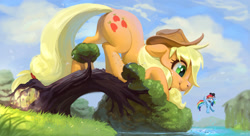 Size: 1920x1041 | Tagged: safe, artist:imalou, character:applejack, character:rainbow dash, species:earth pony, species:pegasus, species:pony, big pony, big-apple-pony, clothing, cloud, commission, cowboy hat, cute, duo, flying, giant pony, hat, jackabetes, looking at each other, looking back, macro, never doubt ncmares's involvement, sky, smiling, stetson, sunglasses, surprised, tree