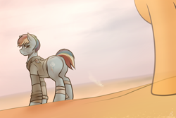 Size: 3000x2000 | Tagged: safe, artist:whitepone, character:rainbow dash, character:scootaloo, species:pegasus, species:pony, amputee, apocalypse, crossover, ghost, mad max, mad max fury road, missing limb, missing wing, plot, rainbutt dash, stump