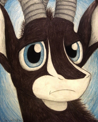 Size: 1072x1328 | Tagged: safe, artist:thefriendlyelephant, oc, oc only, oc:sabe, animal in mlp form, antelope, bust, close-up, confused, giant sable antelope, horns, non-pony oc, portrait, solo, traditional art