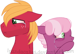 Size: 869x625 | Tagged: safe, artist:ipandacakes, character:big mcintosh, character:cheerilee, species:pony, ship:cheerimac, crying, female, male, shipping, simple background, straight, transparent background