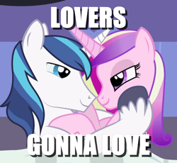 Size: 1088x1000 | Tagged: safe, artist:mlp-silver-quill, character:princess cadance, character:shining armor, species:pony, ship:shiningcadance, caption, eye contact, image macro, looking at each other, love, male, meme, prince of love, princess of love, shipping, straight, subverted meme, this will end in love