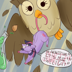 Size: 1280x1280 | Tagged: safe, artist:askamberfawn, character:owlowiscious, character:twilight sparkle, dialogue, flask, food chain, imminent vore, mouse, mousified, mouth hold, potion, predator, prey, species swap, squeak, transformation, twimouse