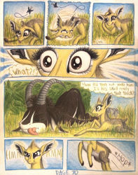 Size: 1076x1368 | Tagged: safe, artist:thefriendlyelephant, oc, oc only, oc:kekere, oc:sabe, comic:sable story, africa, animal in mlp form, antelope, bush, butterfly, cloven hooves, comic, cross-eyed, cute, dik dik, fluffy, giant sable antelope, grass, horns, rock, savanna, size difference, speed lines, traditional art, unconscious