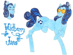 Size: 795x595 | Tagged: safe, artist:frozensoulpony, oc, oc only, oc:wildberry jams, parent:party favor, parent:pinkie pie, parents:partypie, species:earth pony, species:pony, male, offspring, solo, stallion, sunglasses, traditional art