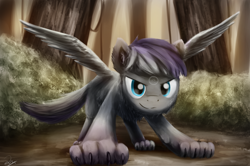 Size: 1438x956 | Tagged: safe, artist:anticular, oc, oc only, species:pegasus, species:pony, species:wolf, commission, hengstwolf, looking at you, nature, scenery, solo, spread wings, werewolf, wings, wolf pony