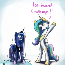 Size: 1200x1200 | Tagged: safe, artist:anticular, character:princess celestia, character:princess luna, species:alicorn, species:pony, ask sunshine and moonbeams, bipedal, cold, dialogue, female, freezing, happy, ice bucket challenge, mare, open mouth, royal sisters, shivering, water, wet, wet mane