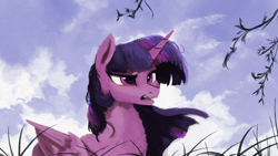 Size: 1920x1080 | Tagged: safe, artist:hierozaki, character:twilight sparkle, character:twilight sparkle (alicorn), species:alicorn, species:pony, cloud, female, grass, mare, solo